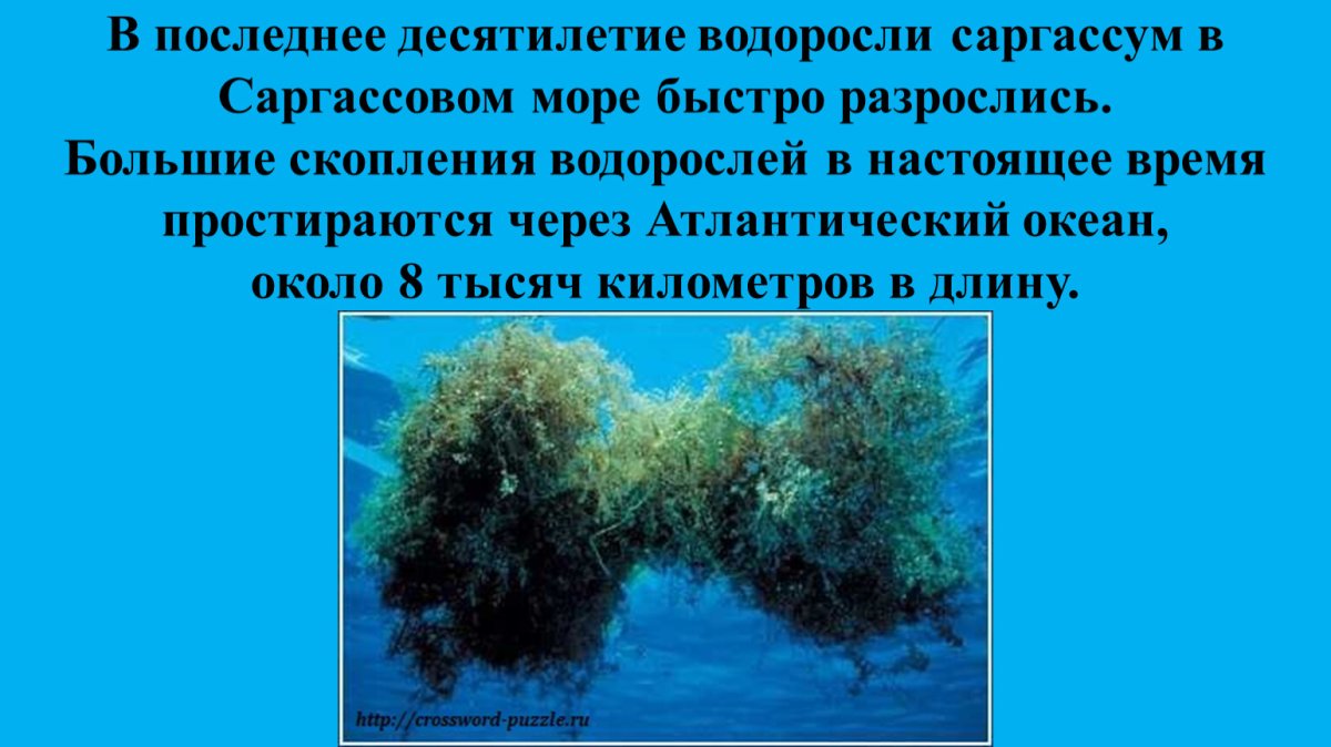 Море, совсем без берегов