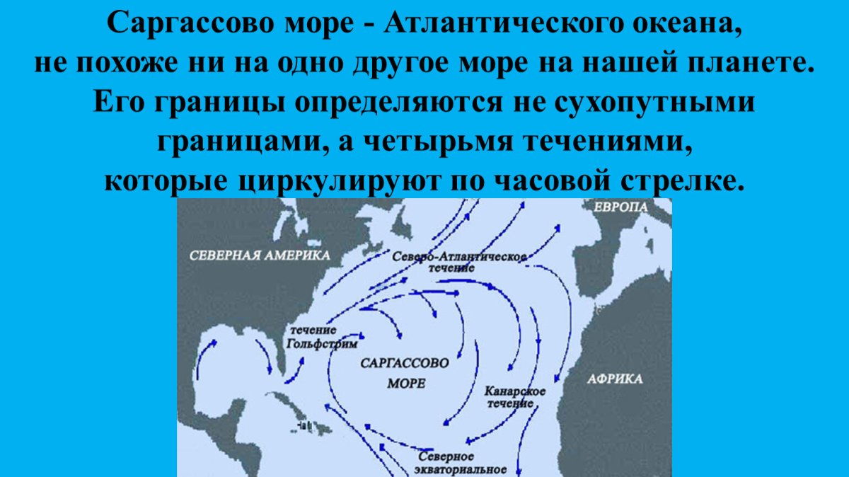 Саргассово море течения