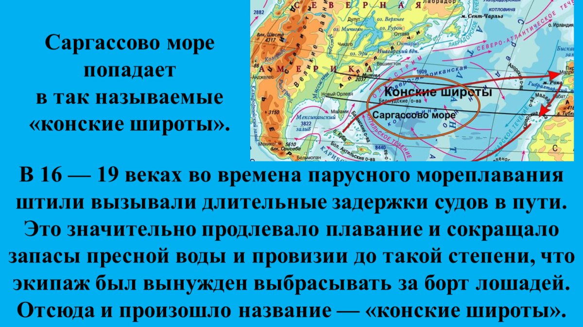 Саргассово море можно ли купаться
