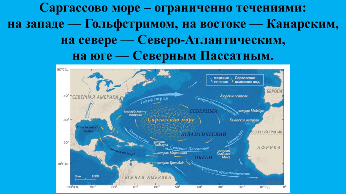 Саргассово море окраинное