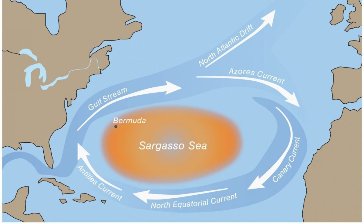 Саргассово море границы на карте