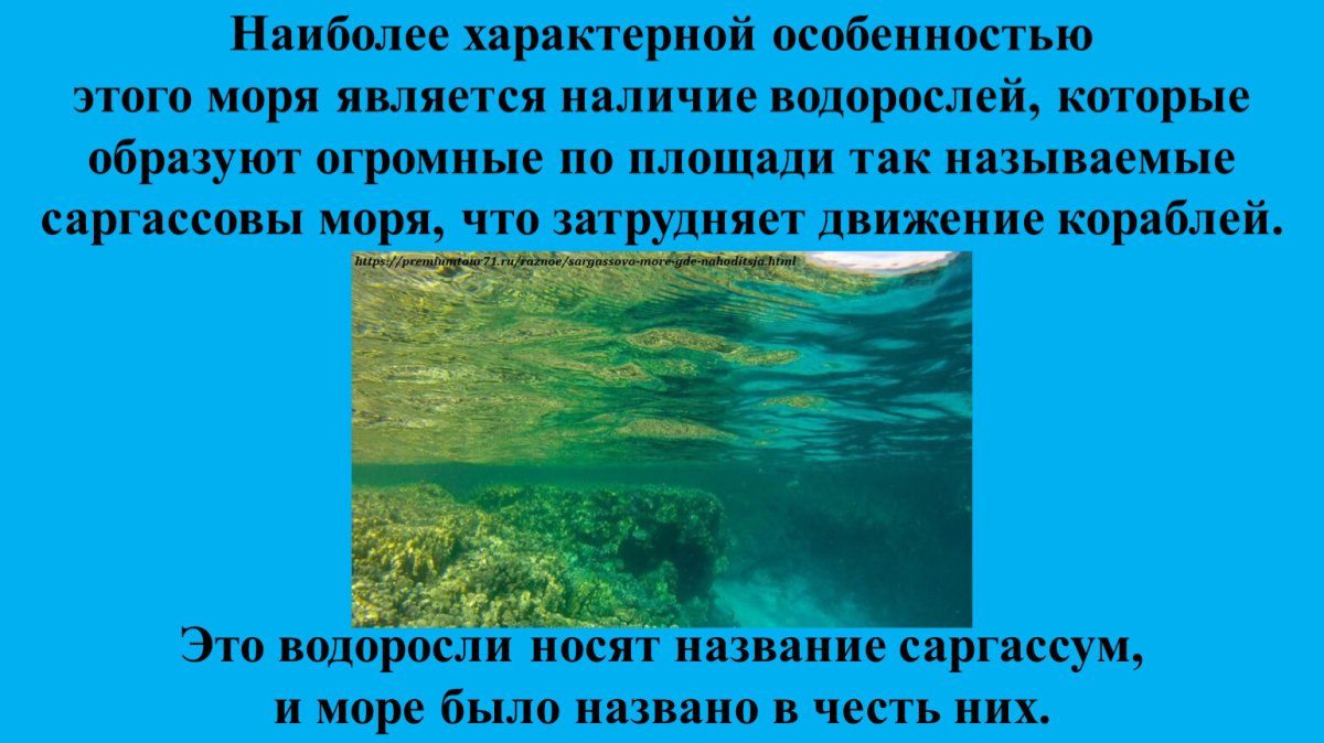 Саргассово море и Бермудский треугольник на карте