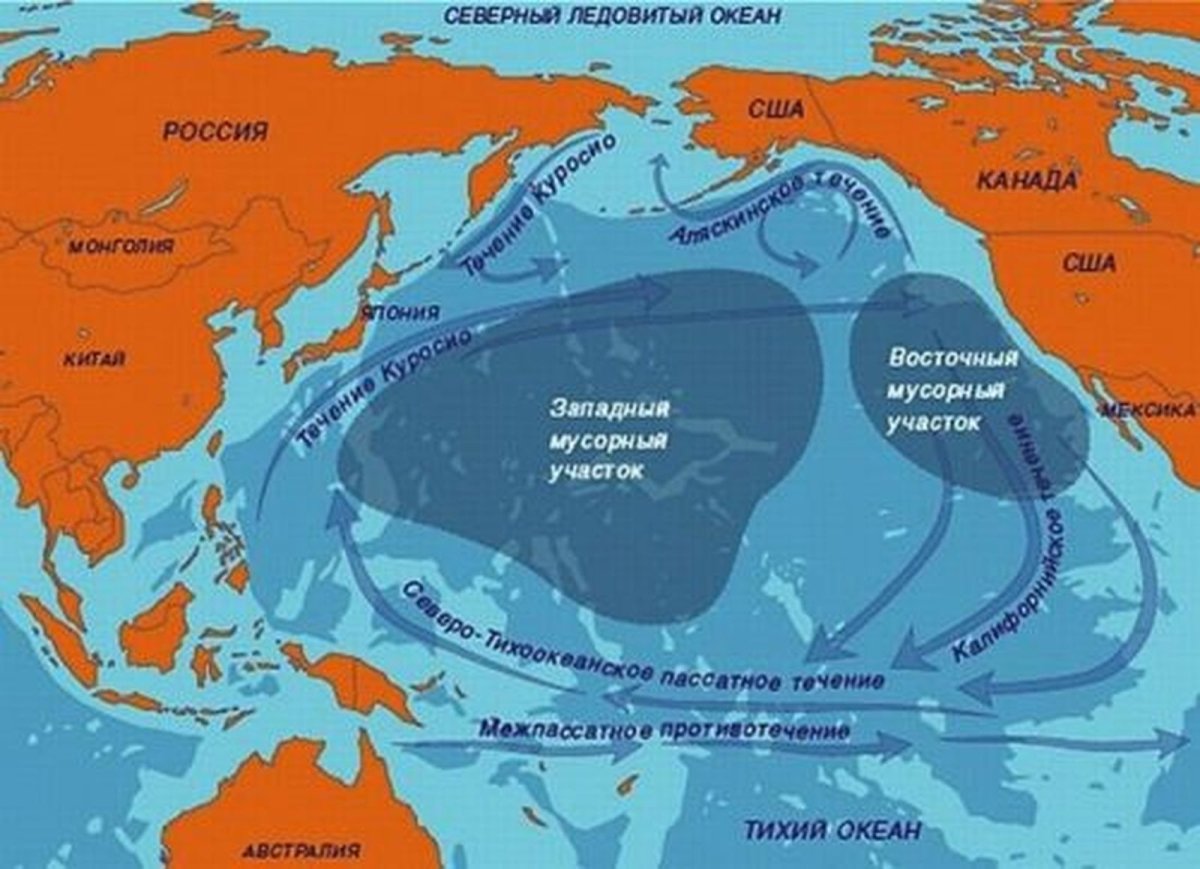 Саргассово море дно