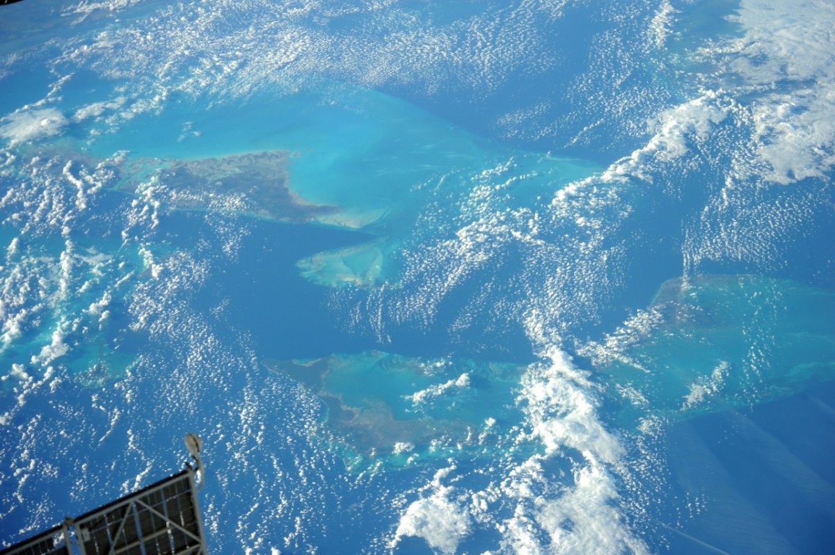 Саргассово море на карте полушарий