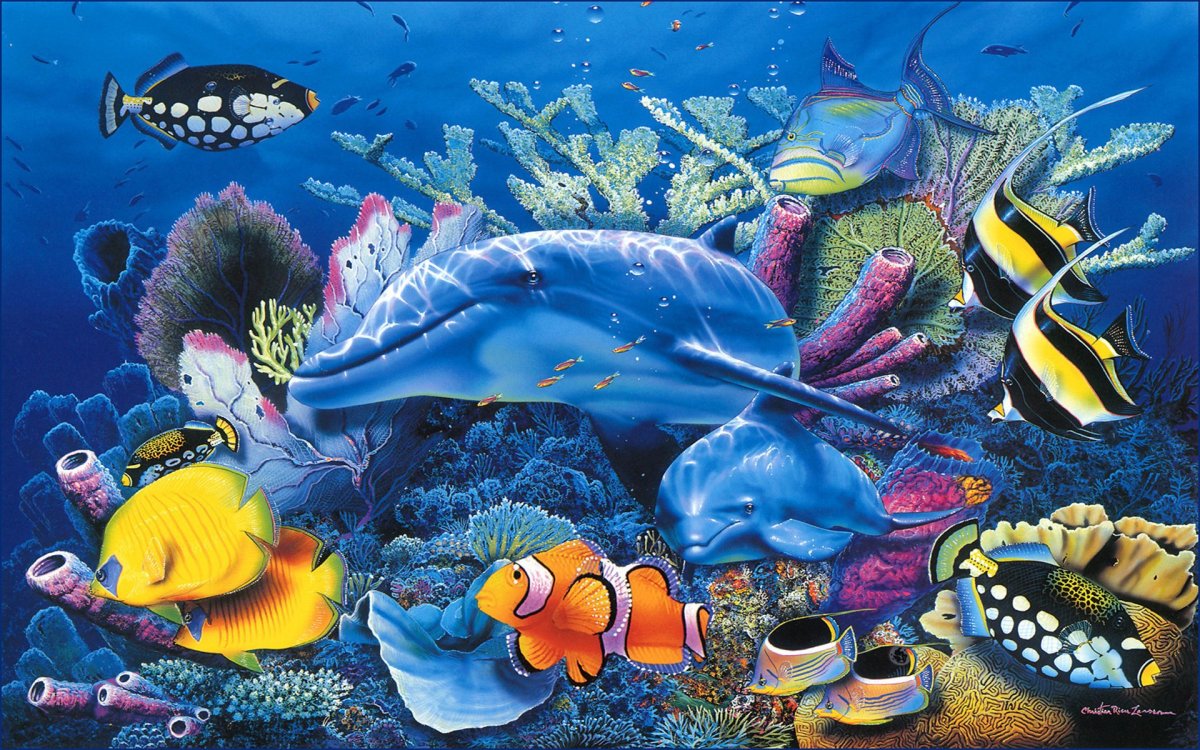 Подводный мир морей и океанов