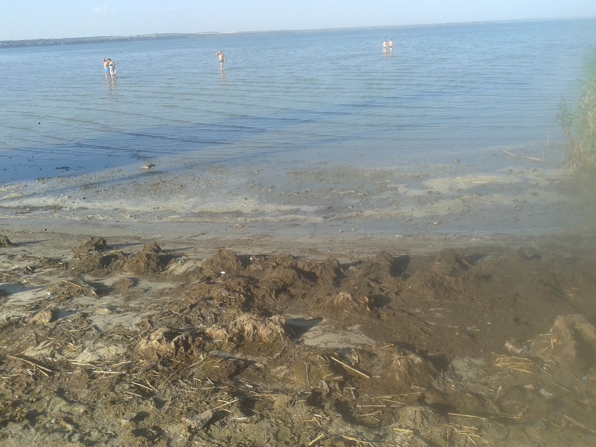 Азовское море Бацманово