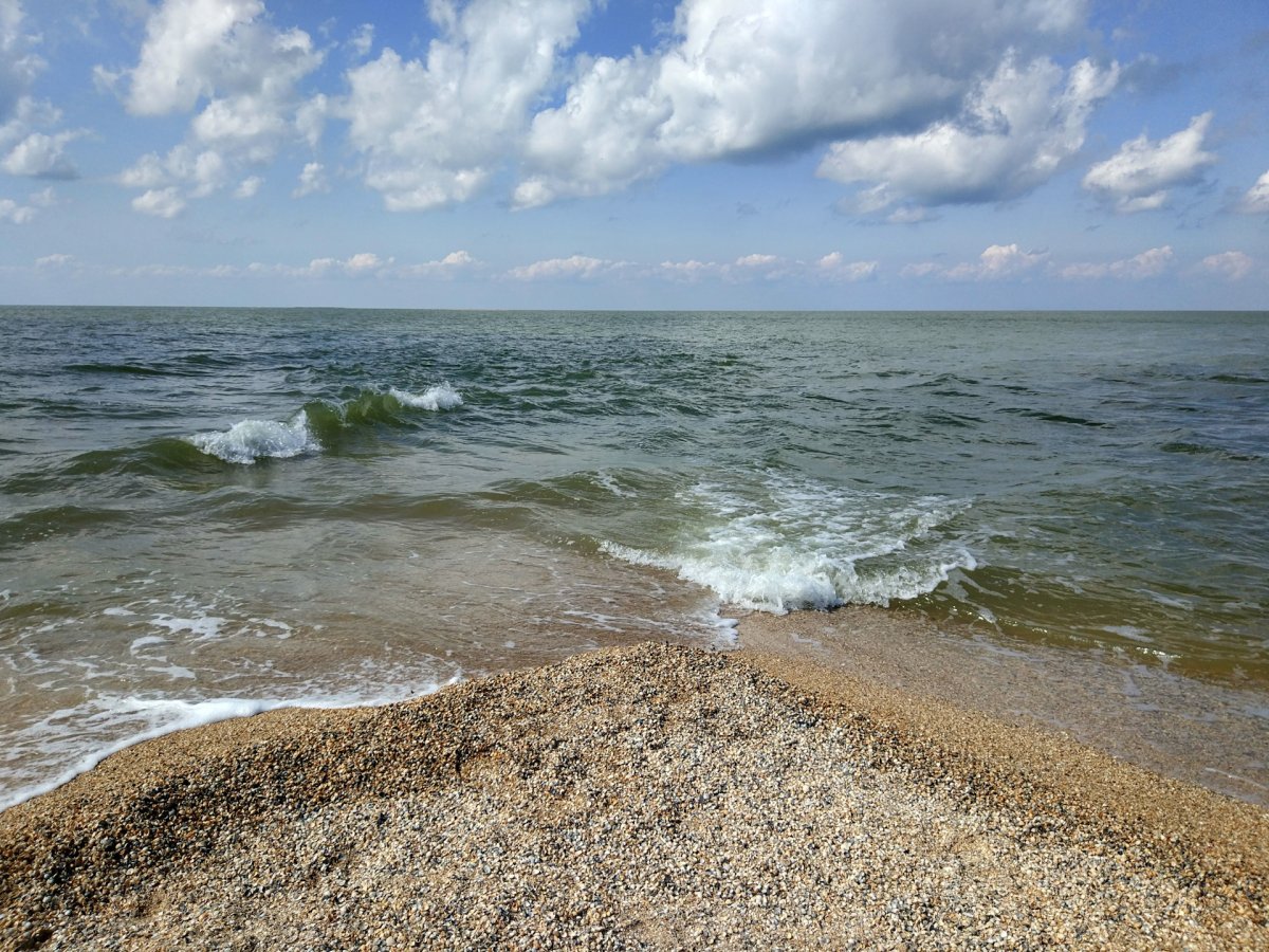 Берег Азовского моря Таганрог