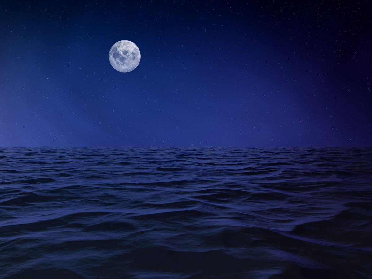 Ночное море
