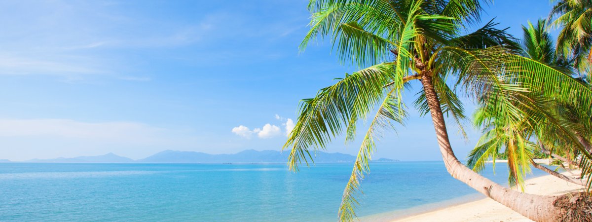 Море пляж панорама