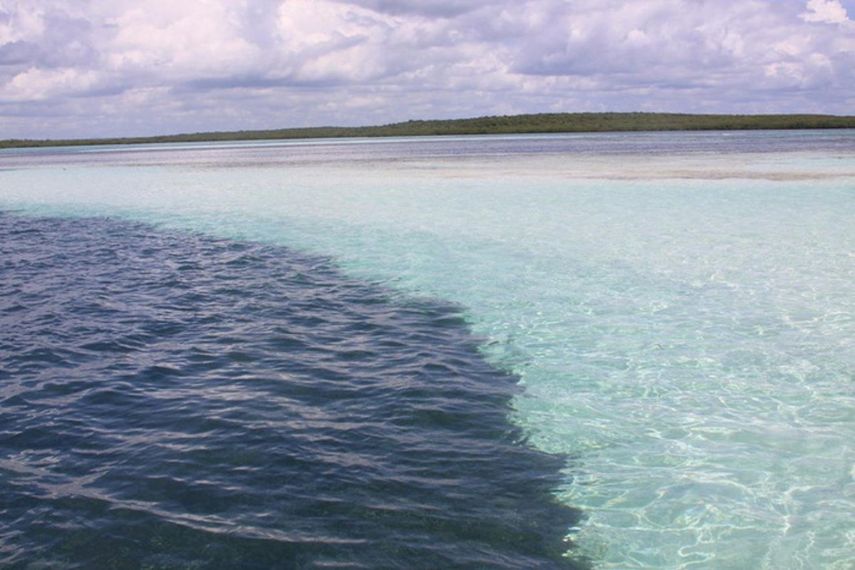 Галоклин Балтийское море