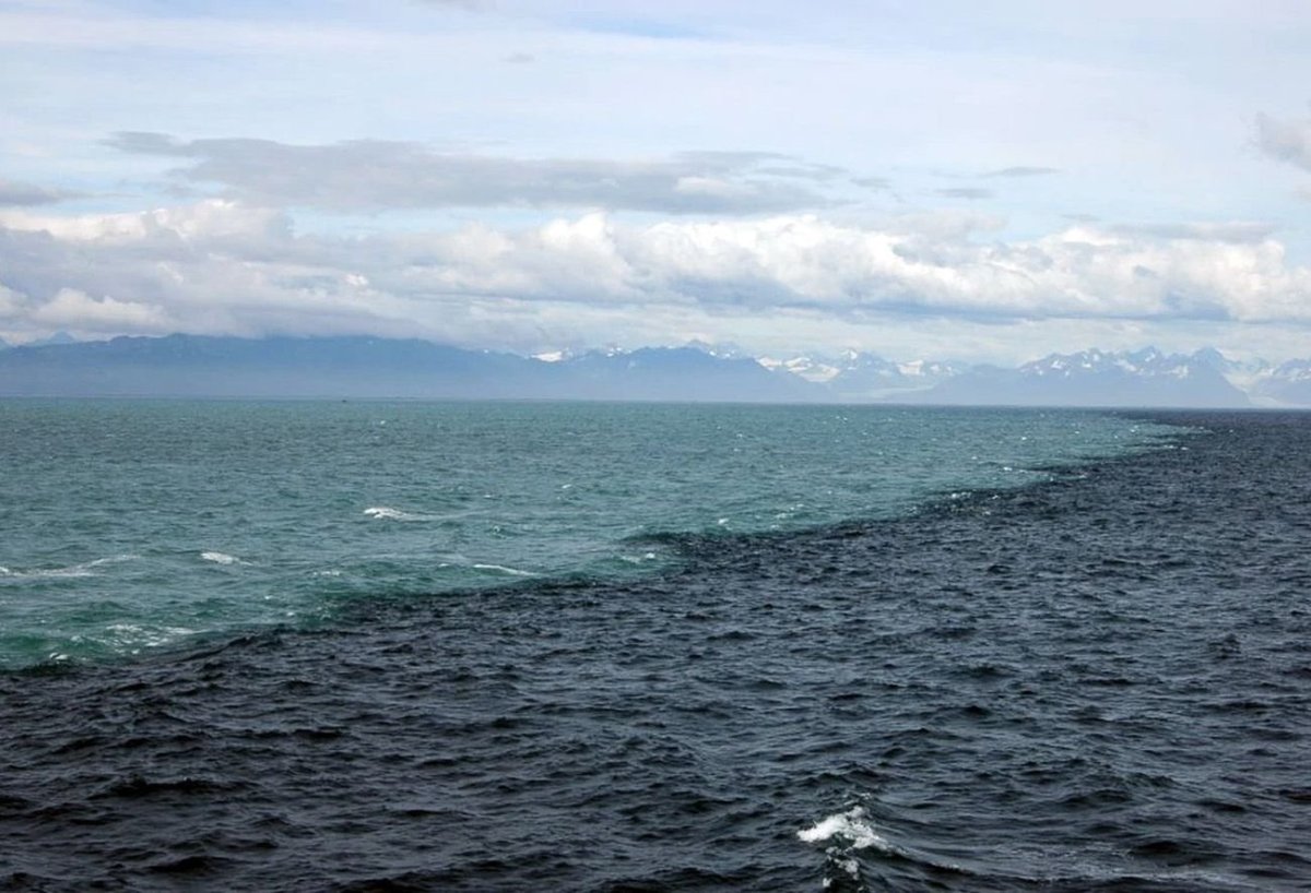 Скаген Дания два моря