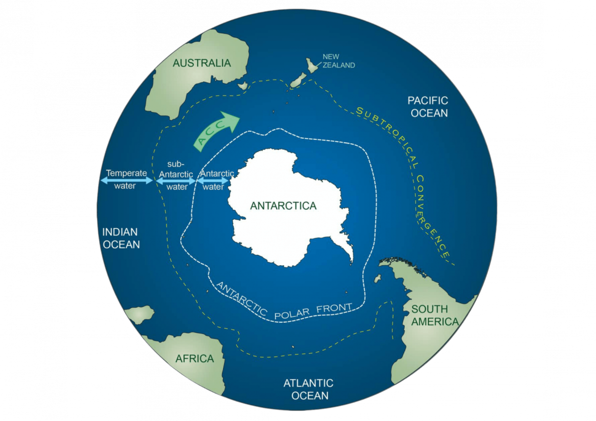 Индийский океан антарктида. Остров Кергелен на карте Антарктиды. Антарктида на карте. Антарктическая конвергенция. Океаны Антарктиды на карте.