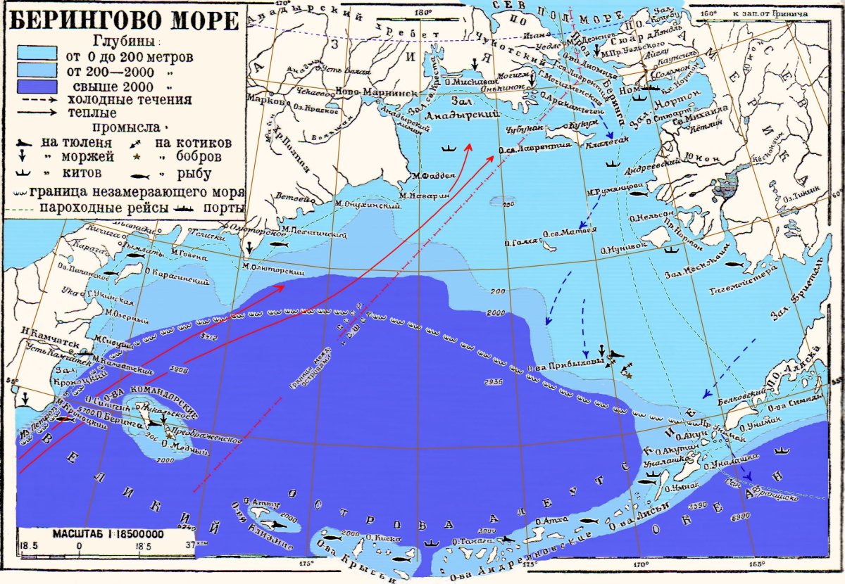 Карта глубин океанов. Берингово море на карте. Карта глубин Берингова моря. Граница Берингова моря и Тихого океана. Течения Берингова моря на карте.