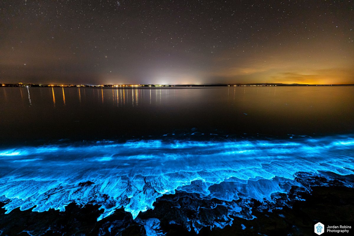 Анимированное море