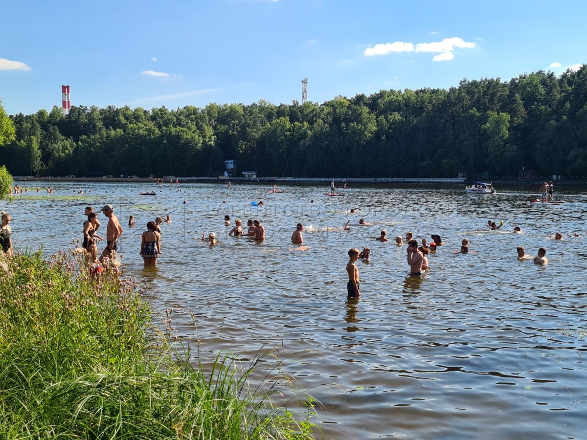 Серебряный Бор Москва купаться