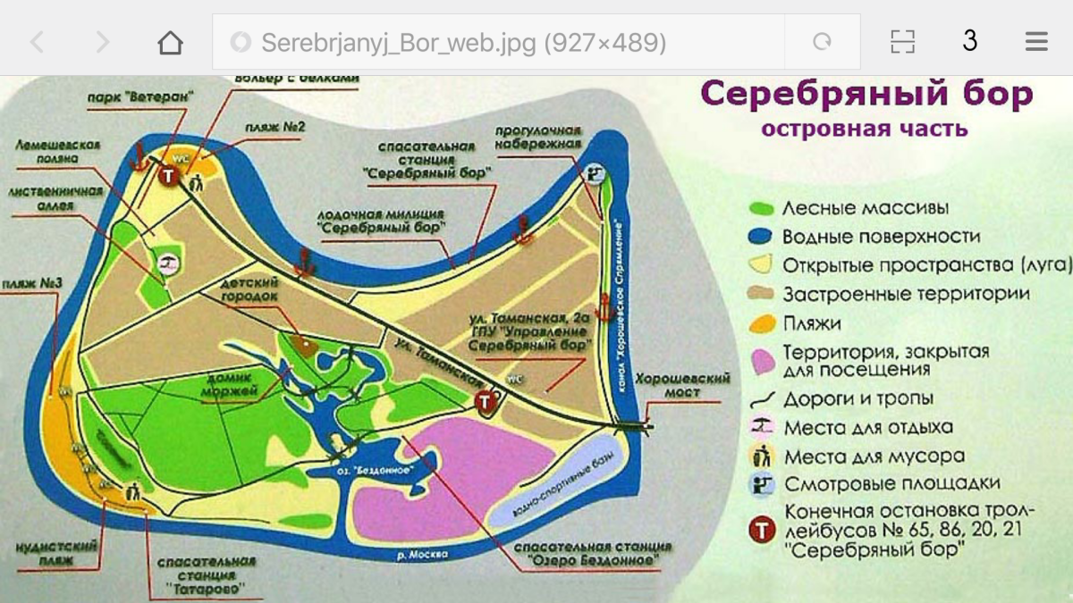 Волейбол серебряный Бор