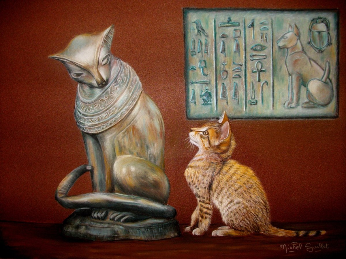 Кот сфинкс фараон