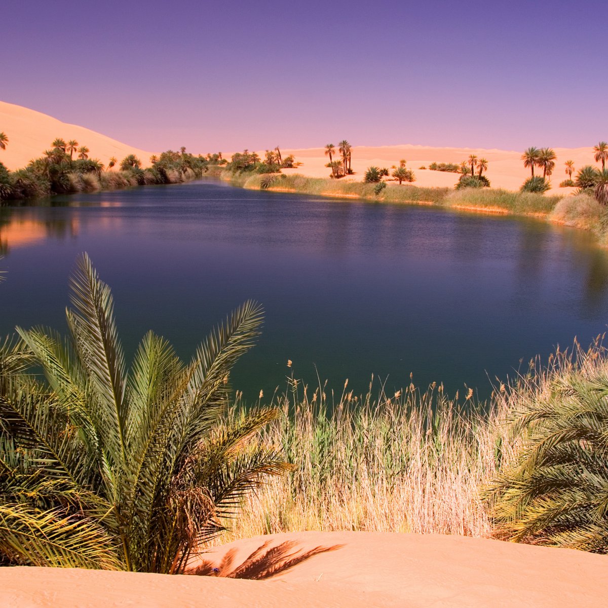 Wadi el Rayan Египет