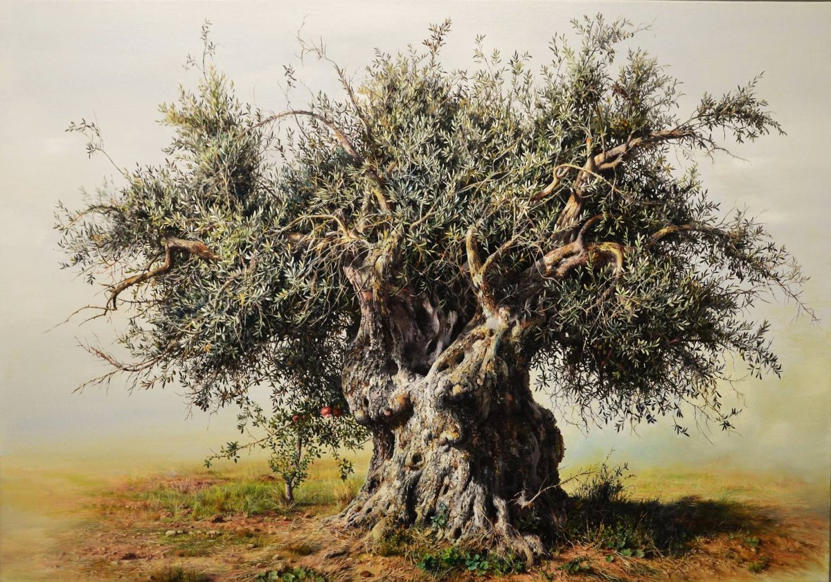 Olive Tree масло