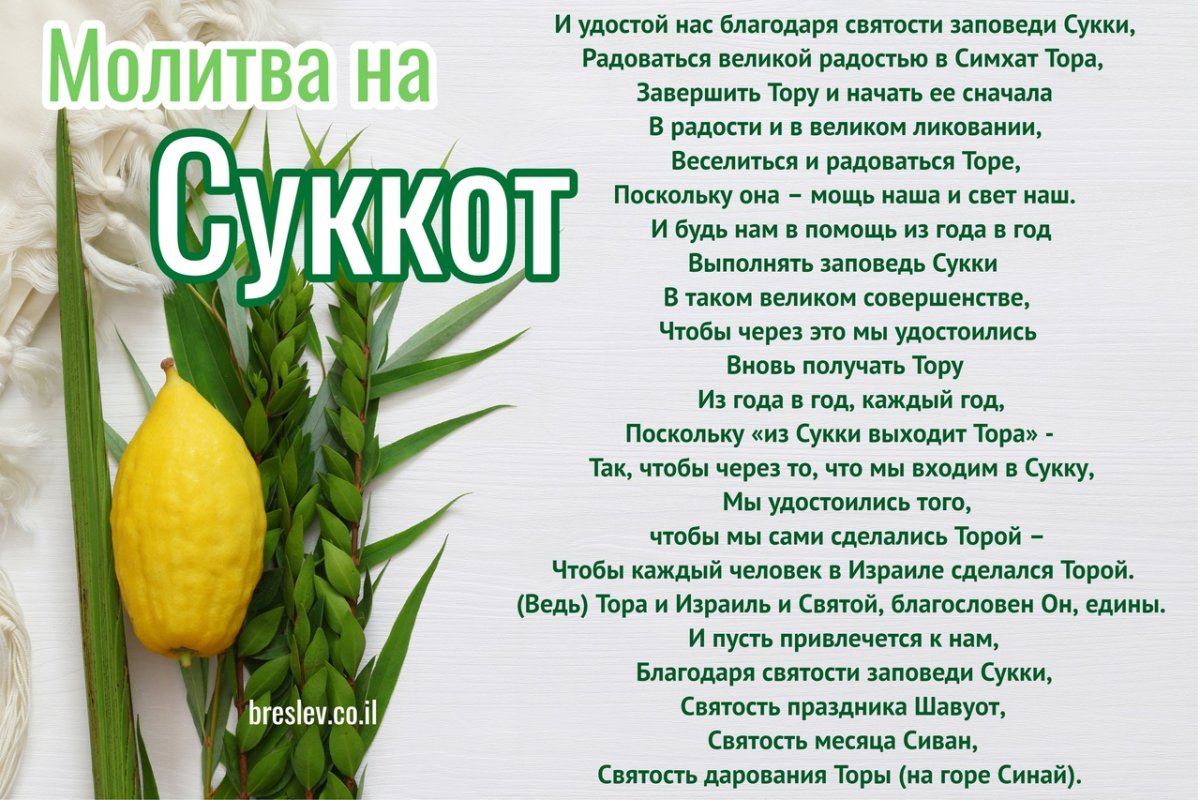 Суккот 2021