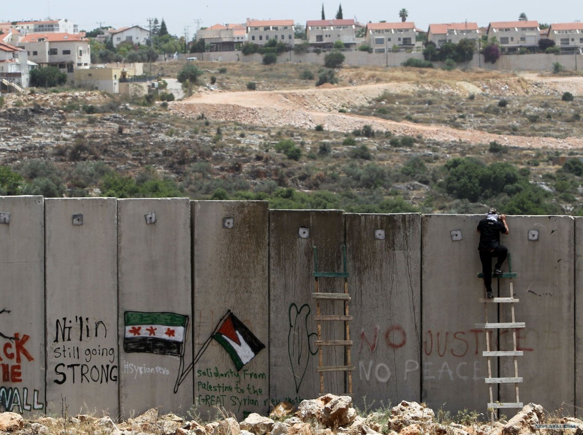 Израиль палестина стена