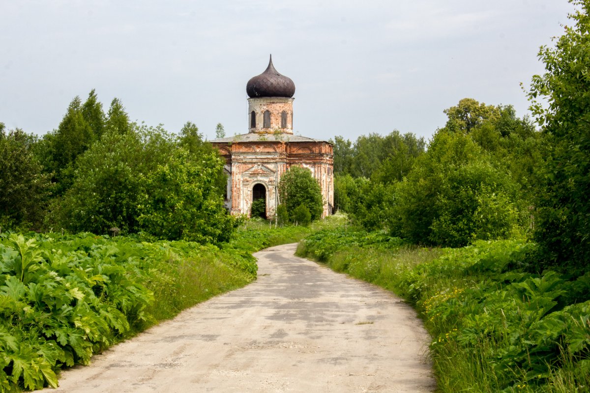 лесной курорт краснобаковский район