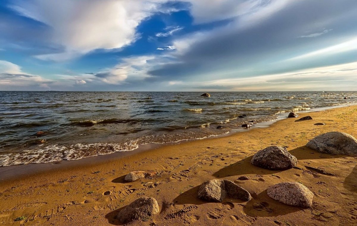 Петербург на балтийском море. Финский залив Балтийского моря. Берег Балтийского моря финский залив. Репино финский залив. Питер берег финского залива.