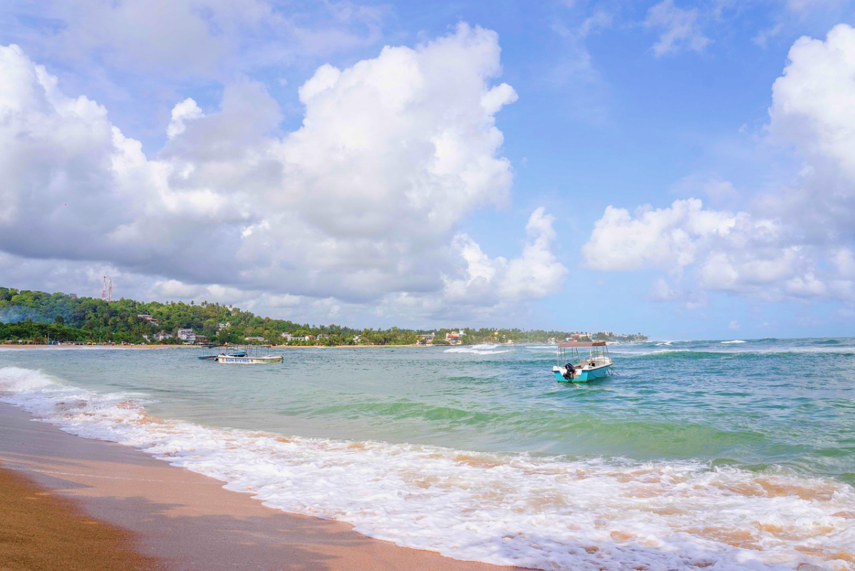 Унаватуна шри ланка 2024. Пляж Унаватуна. Рыба на пляже Шри Ланка. Берег Шри Ланки. Унаватуна фото.