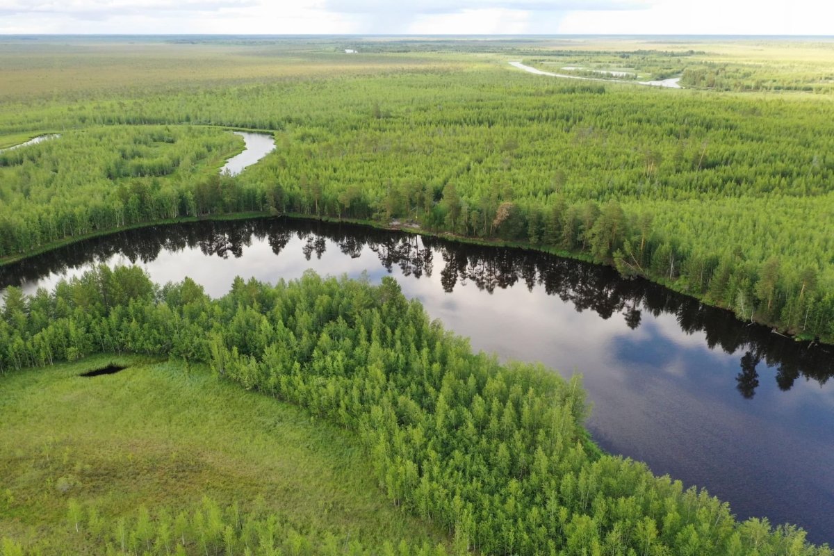 Верхне Кондинский заказник ХМАО