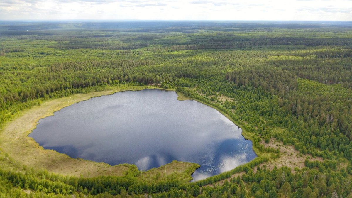 Природный парк Кондинские озера Советский район ХМАО