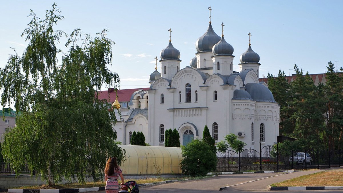 Церковь Рождества Христова г. Лиски