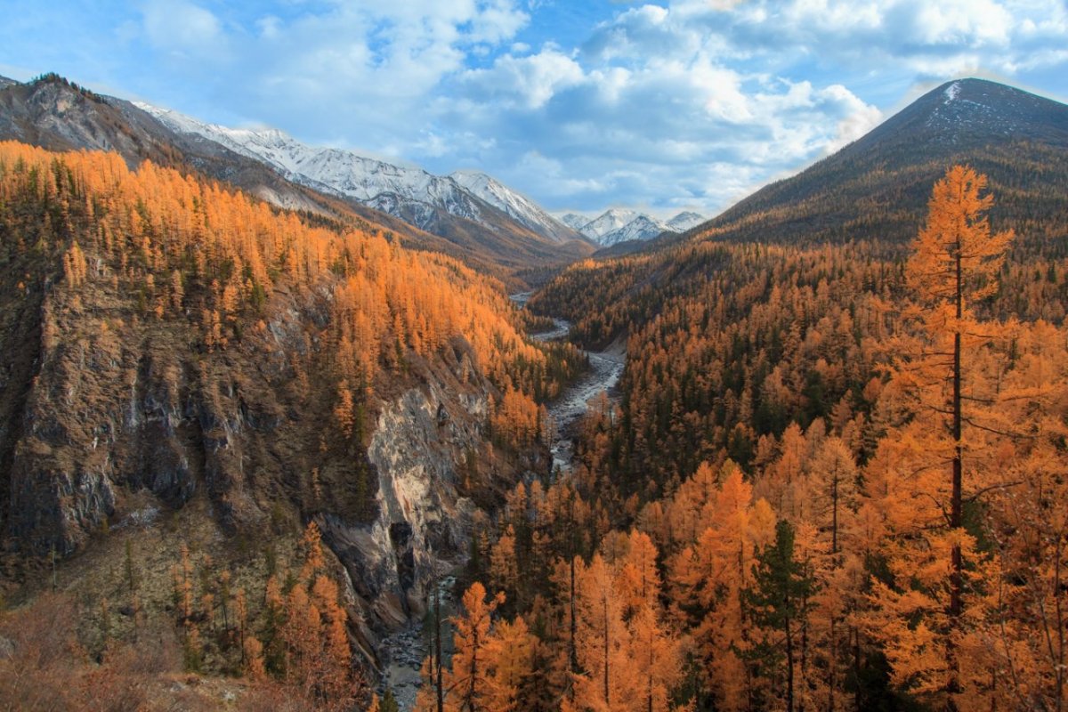Река Кунар Таймыр