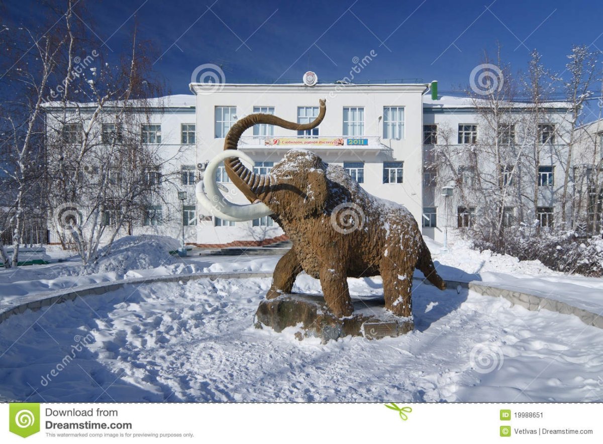 Стан якутов