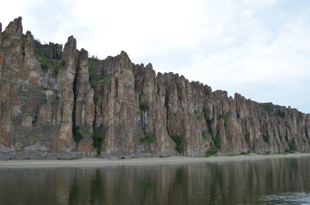 Река Лена пейзажи