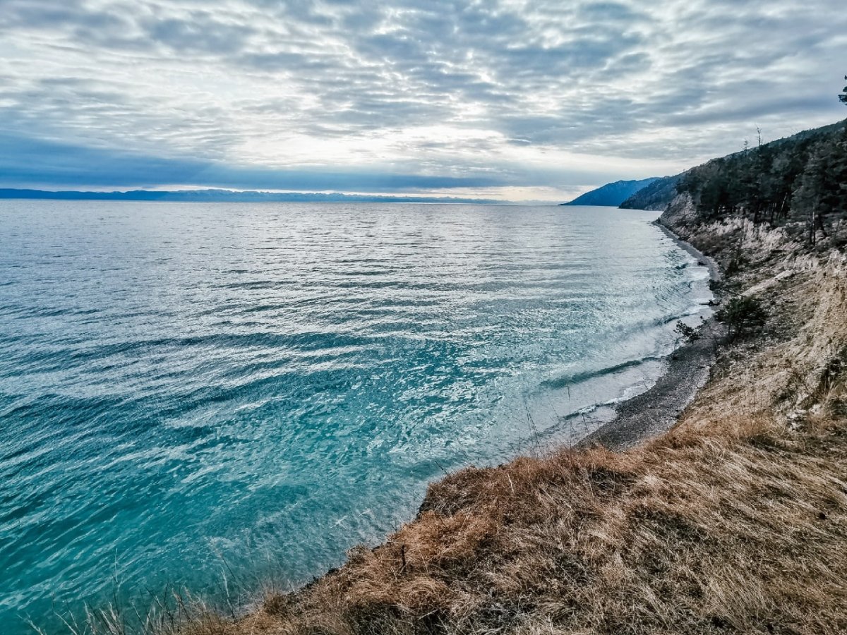 Большое голоустное байкал фото