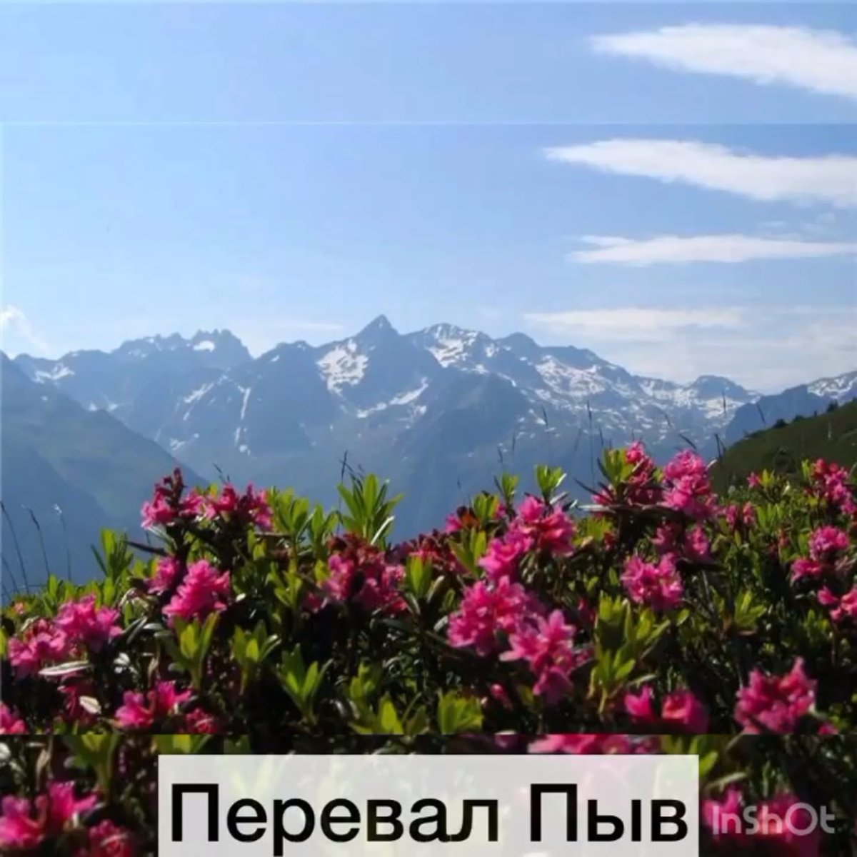 Альпийские Луга Абхазия весной