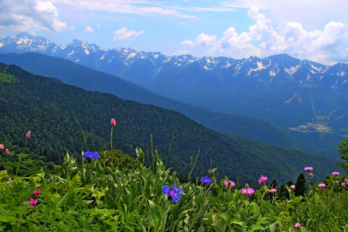 Долина 7 озер Абхазия фото