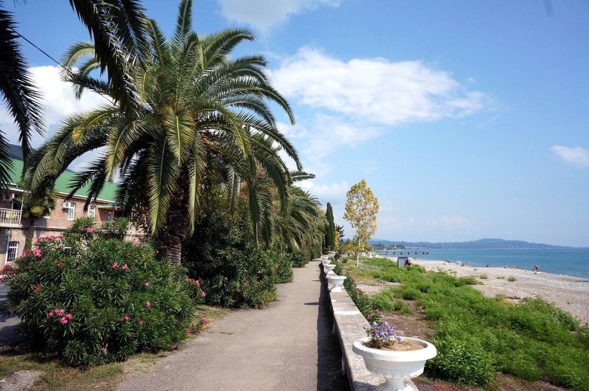 Cottages in Gagra Абхазия