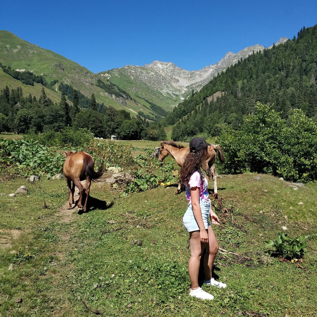 Альпийские Луга Абхазия в августе