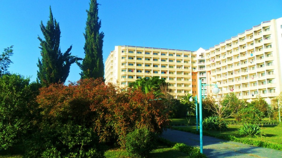 Самшитовая роща Пицунда