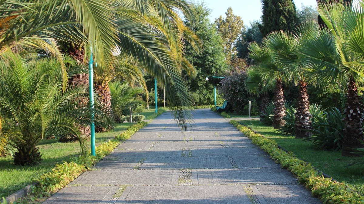 Отель Самшитовая роща Пицунда