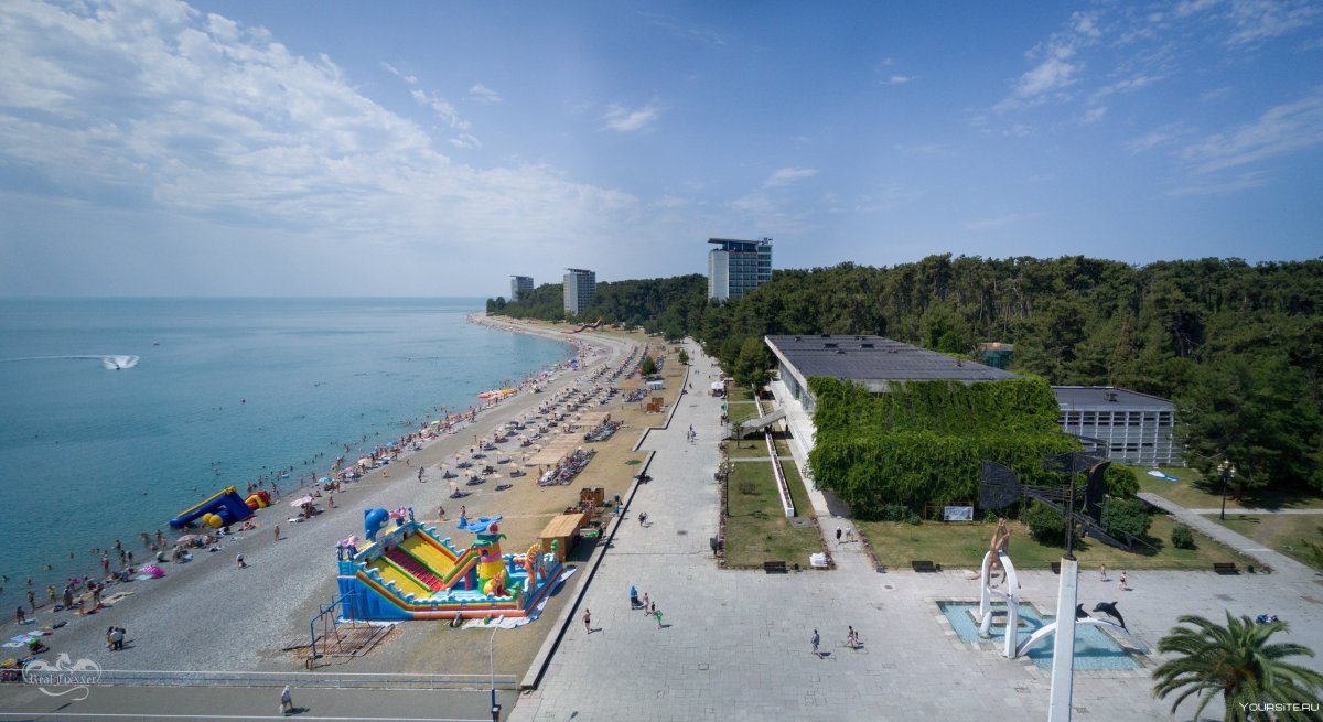 Мушмула в Абхазии