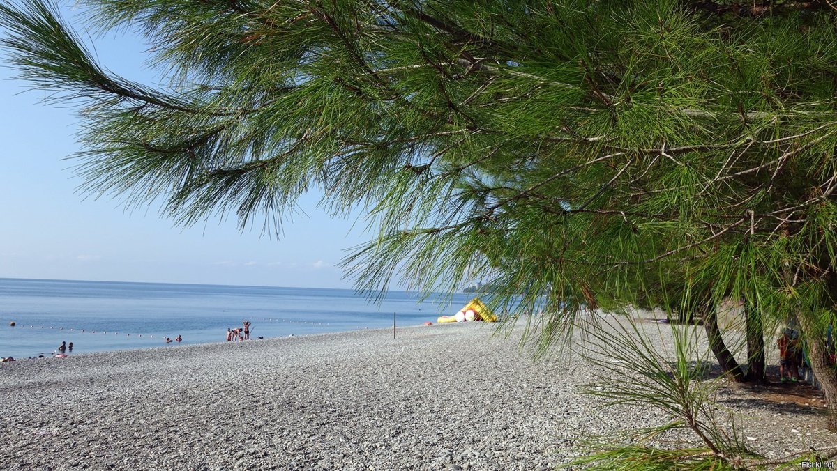 Пицунда улица Гицба 5 пансионат у моря