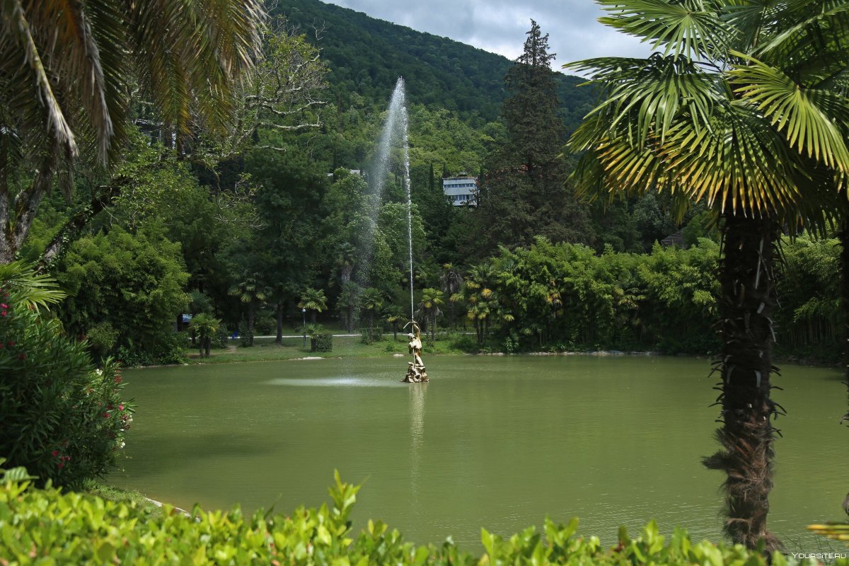 Amra Park-Hotel & Spa, Абхазия, Гагра
