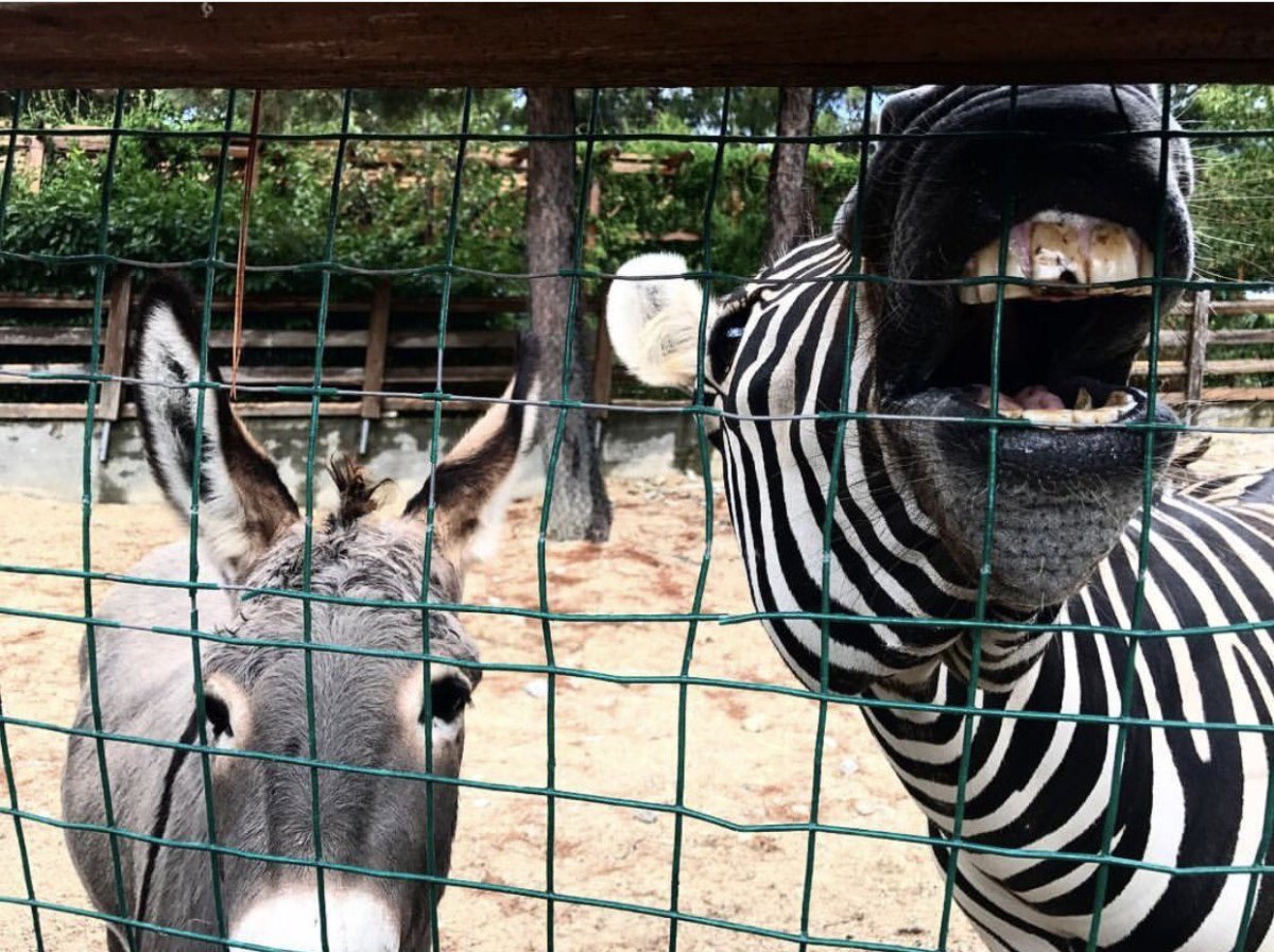 Зоопарк Филадельфии (Philadelphia Zoo)