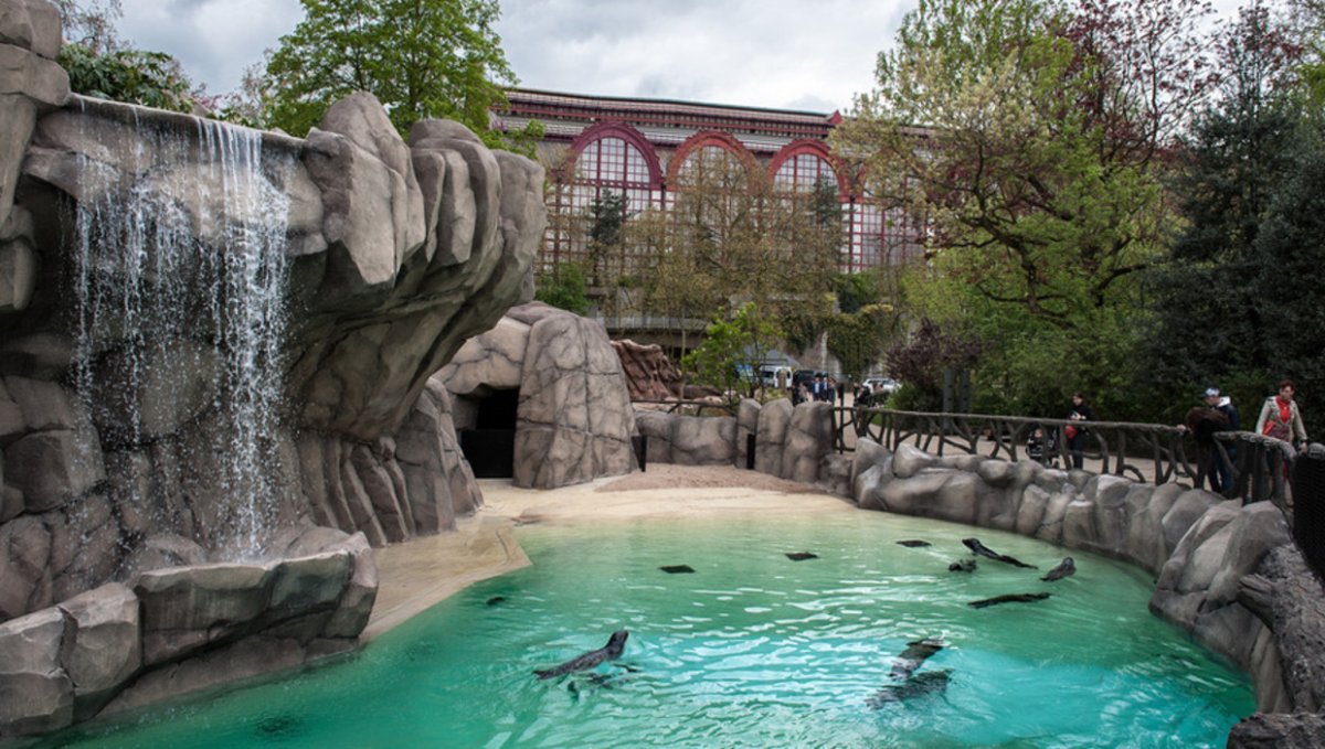 Zoo немецкий. Антверпенский зоопарк Бельгия. Зоопарк Цюриха в Швейцарии. Краков зоопарк. Братиславский зоопарк.