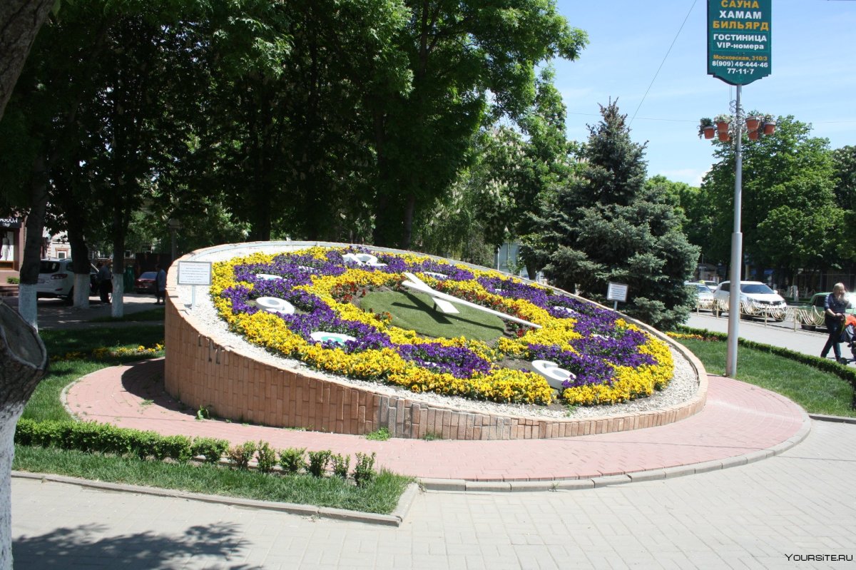 Карл Линней цветочные часы