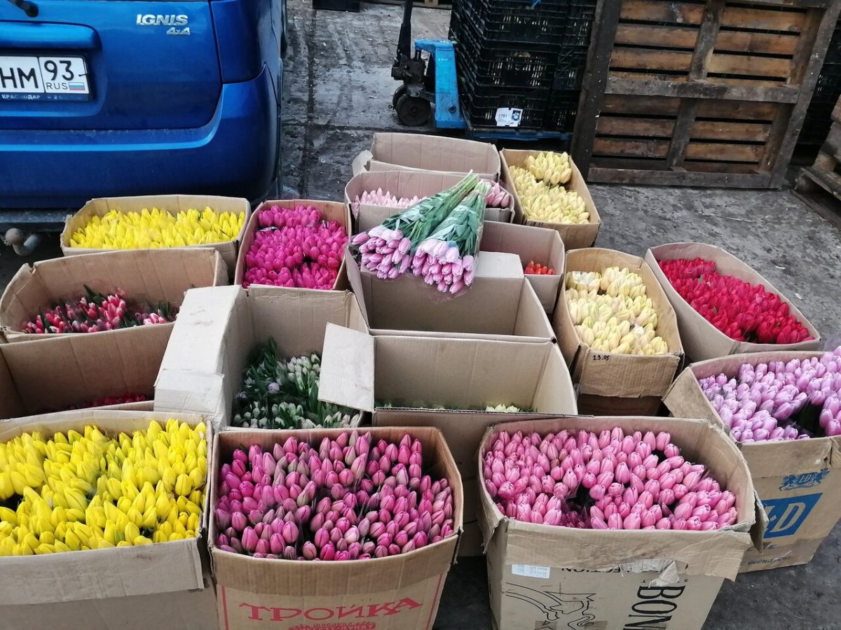 Приглашение на выставку-продажу цветов