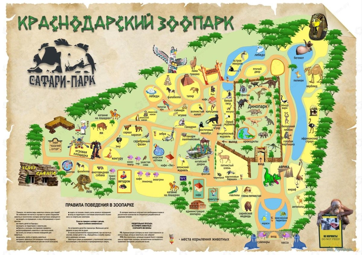 Солнечный остров Краснодар сафари парк