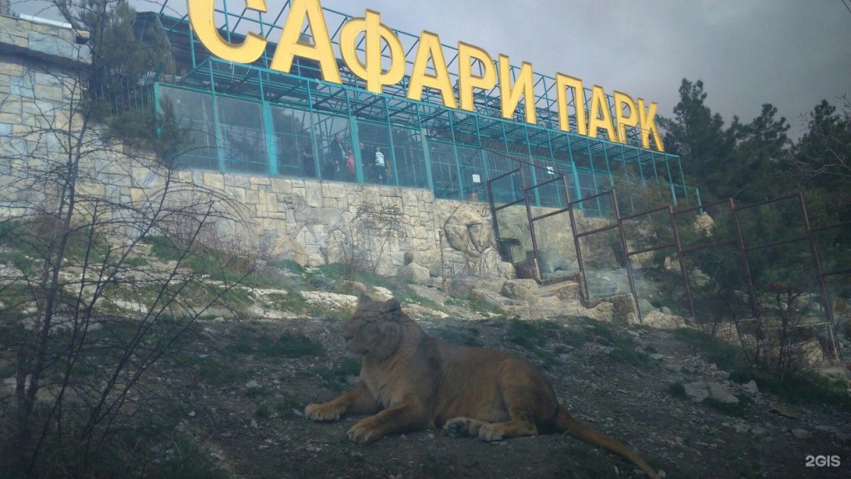Сафари парк Краснодар